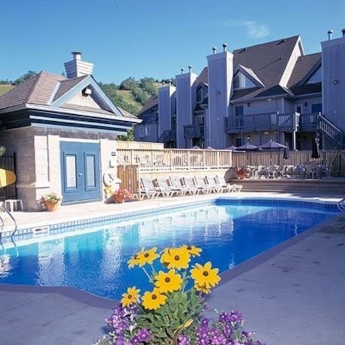 Blue Mountain Suites Montanhas Azuis Exterior foto